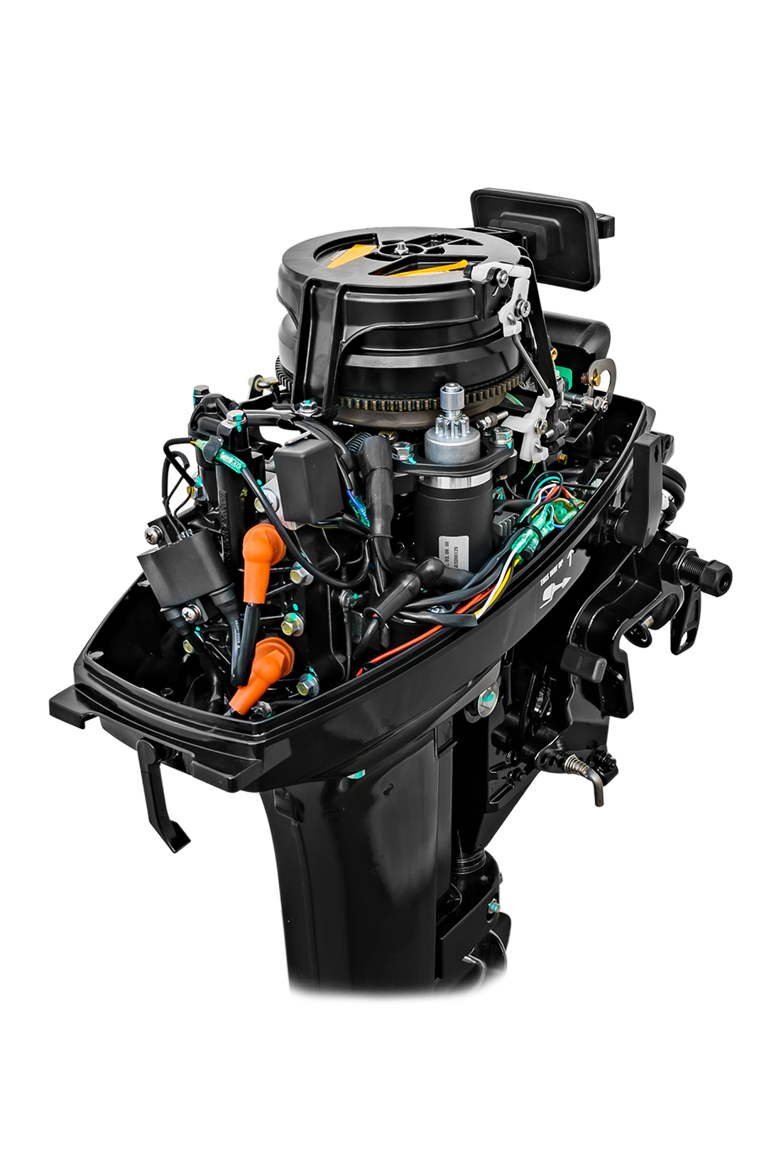 Мотор REEF RIDER RR9.9FES PRO дистанция