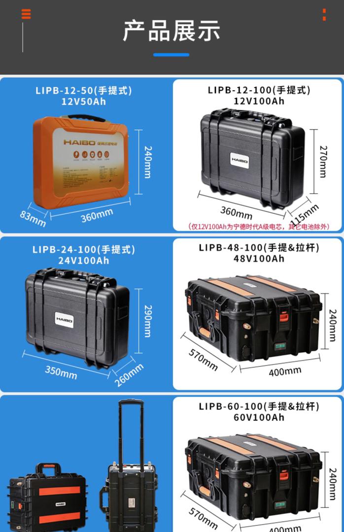 Аккумулятор LifePO4 12V100ah (зарядное в комплекте)