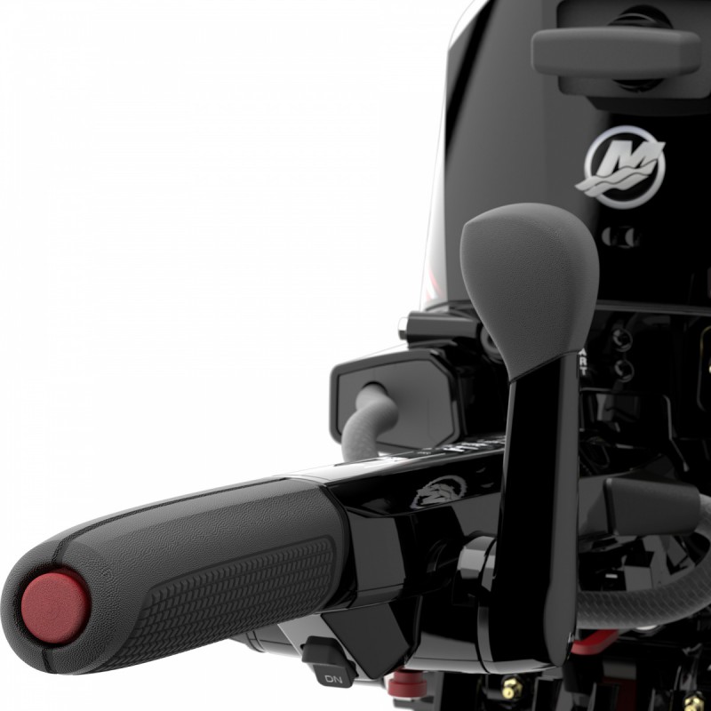 Мотор Mercury F10 EFI