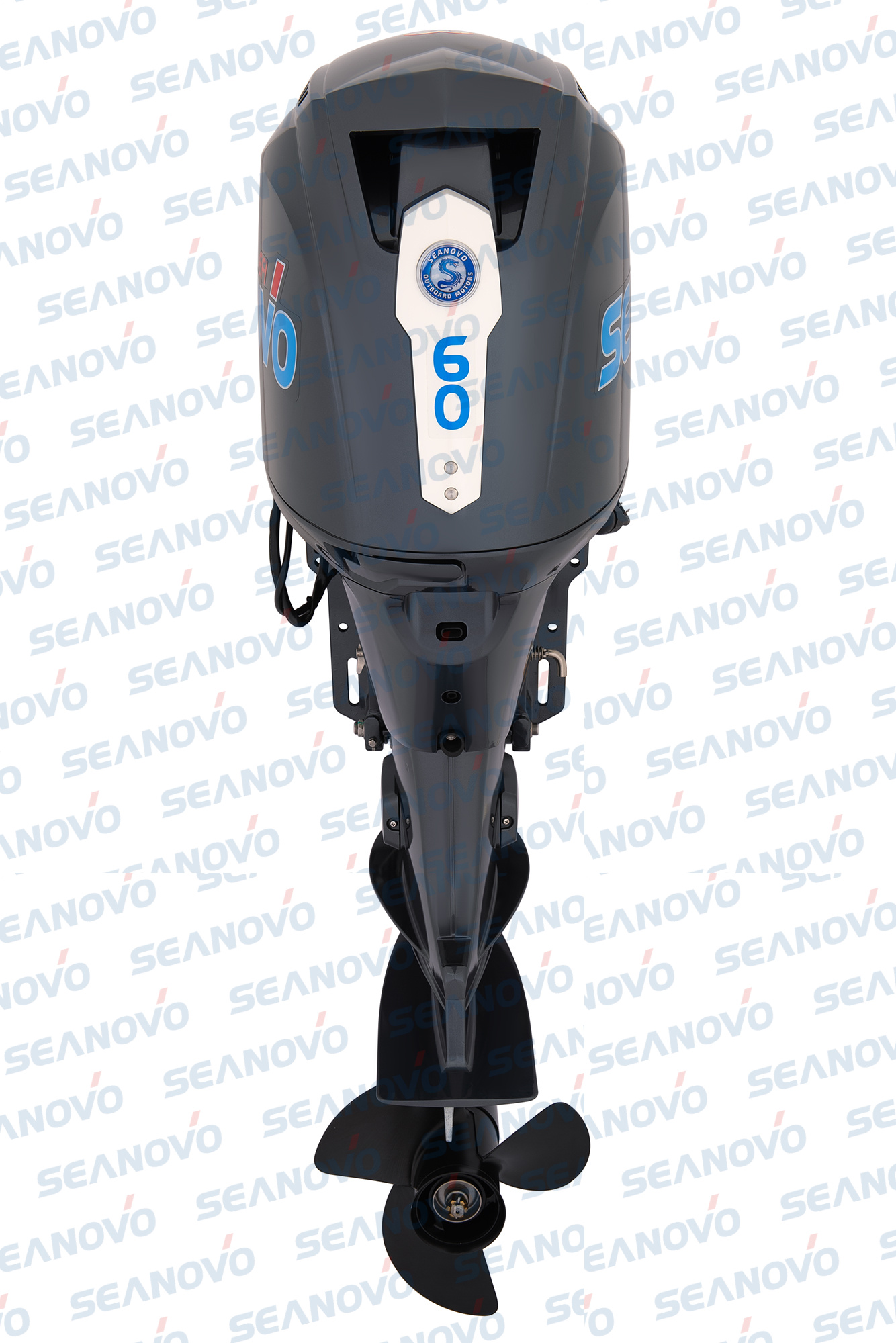 Мотор Seanovo SNEF60FVEL-T - EFI