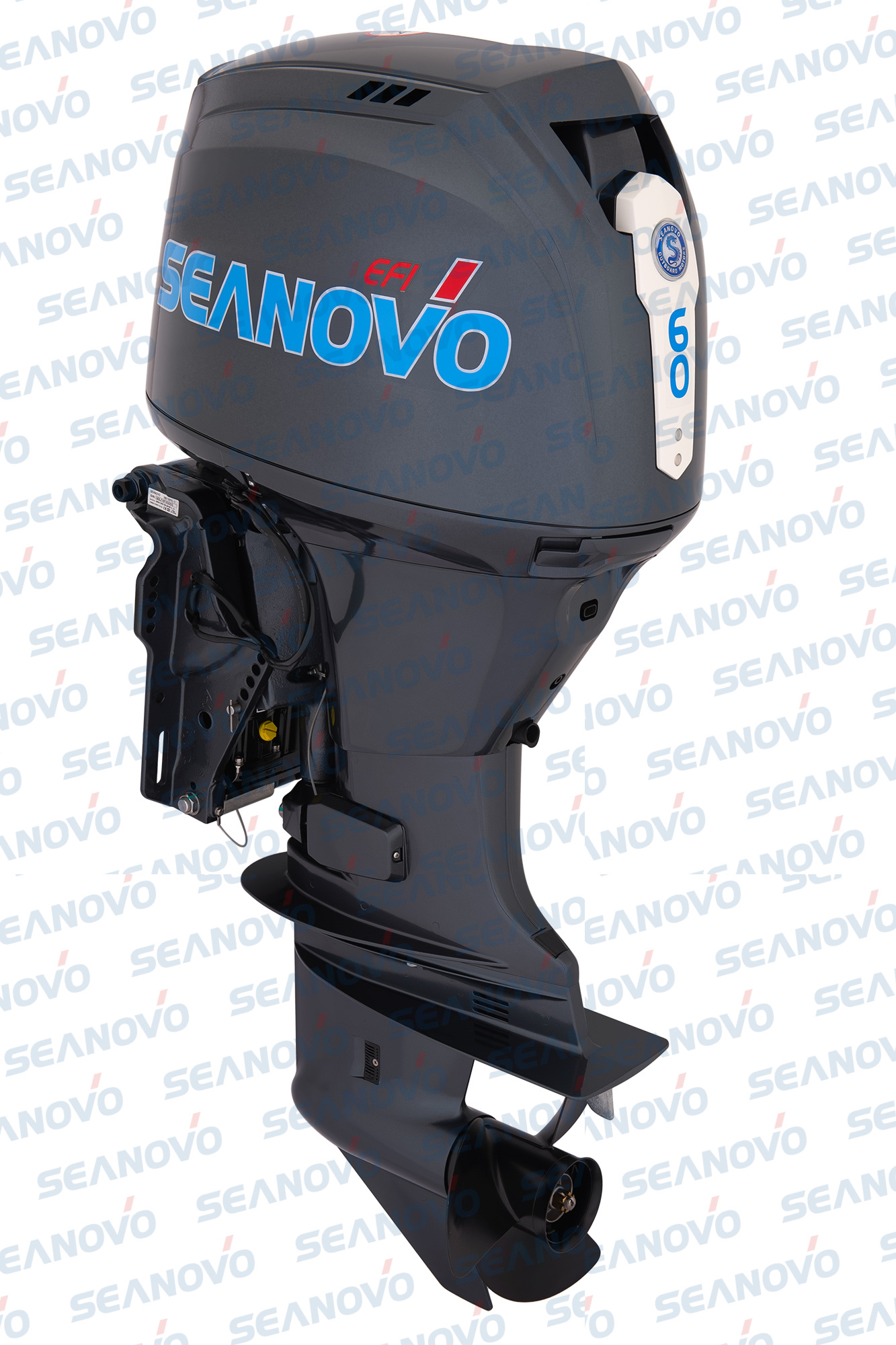 Мотор Seanovo SNEF60FVEL-T - EFI