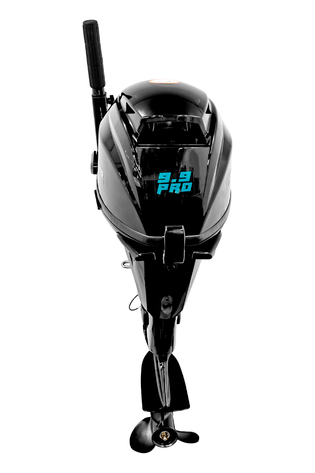 Мотор REEF RIDER RREF9.9HES PRO 362см3