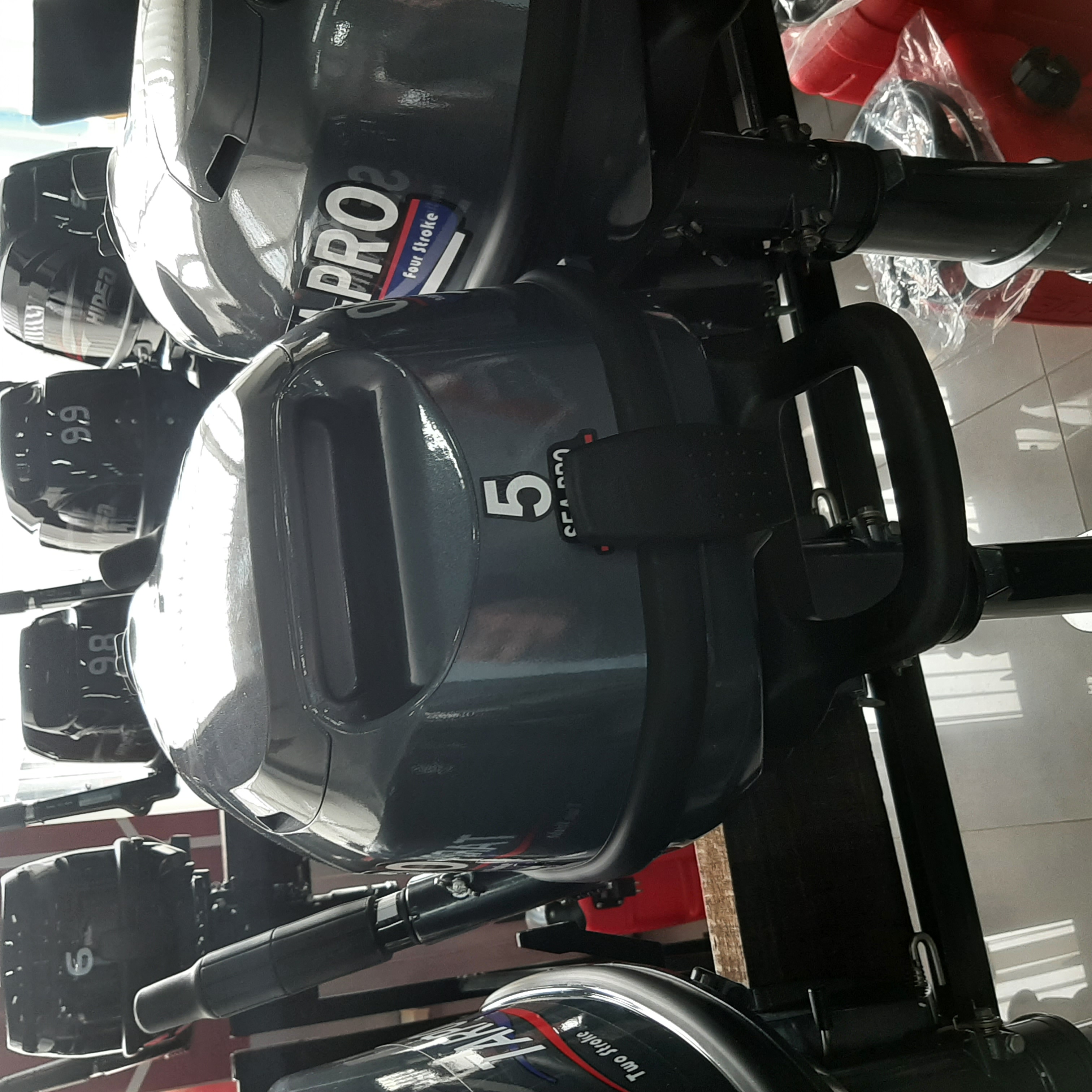 Мотор SEA-PRO F 5S