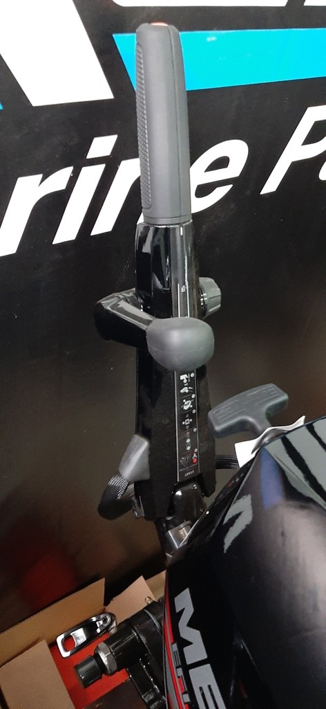Мотор Mercury F10 EFI