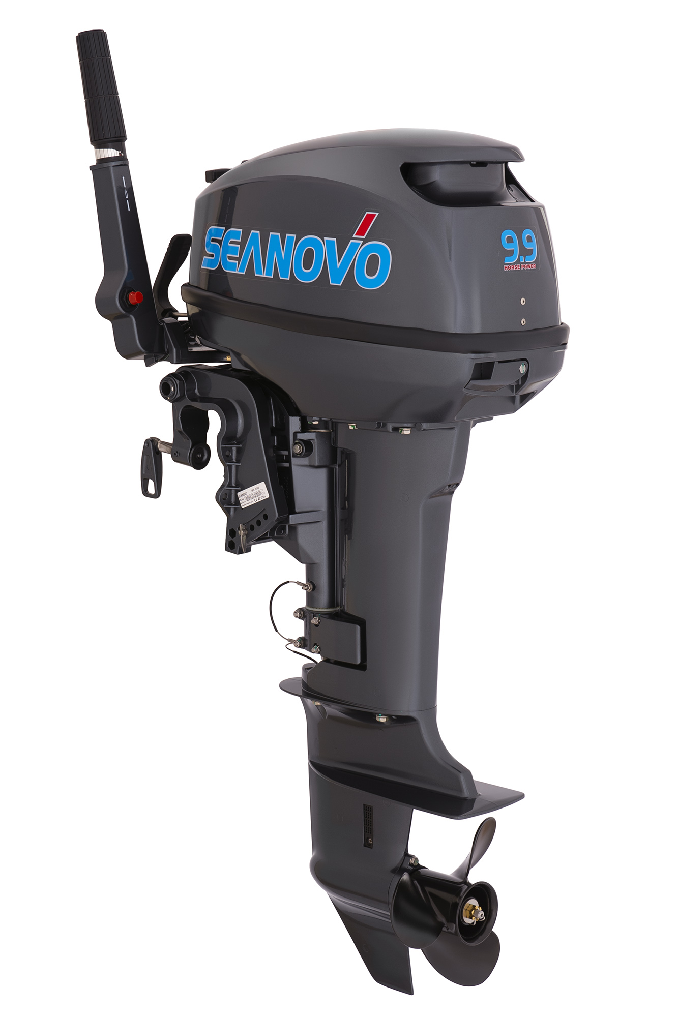 Мотор SEANOVO SN9.9F